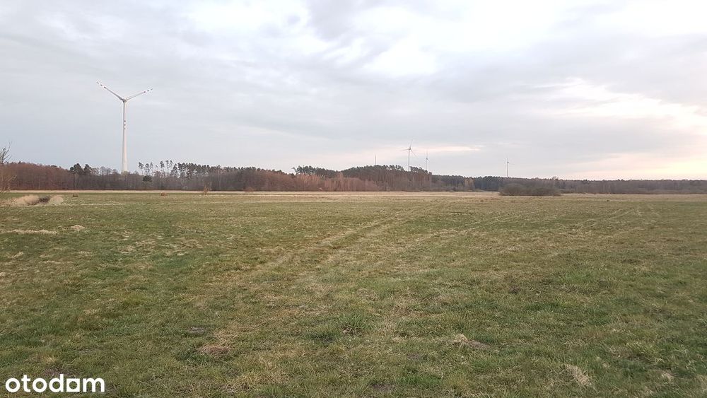 Działka 9926m2 z MPZP w Strzelinie - atrakcyjna lokalizacja !!!