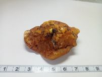 Bursztyn bałtycki - mleczna bryłka 17.56g.