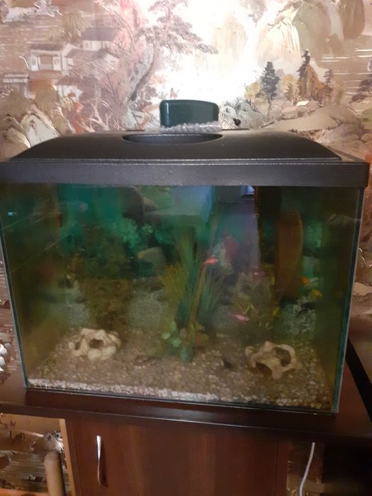 Продам аквариум с тумбой