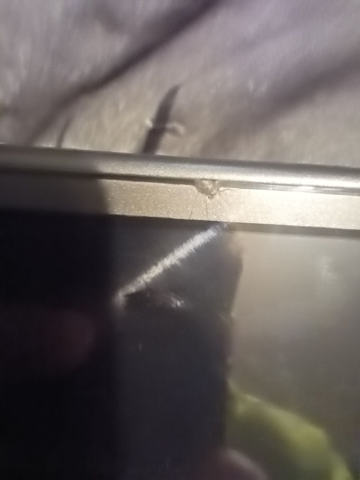 Nintendo Switch Lite (Edycja Palkia i dialga)