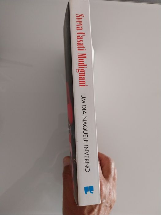 Livro: Um dia naquele inverno