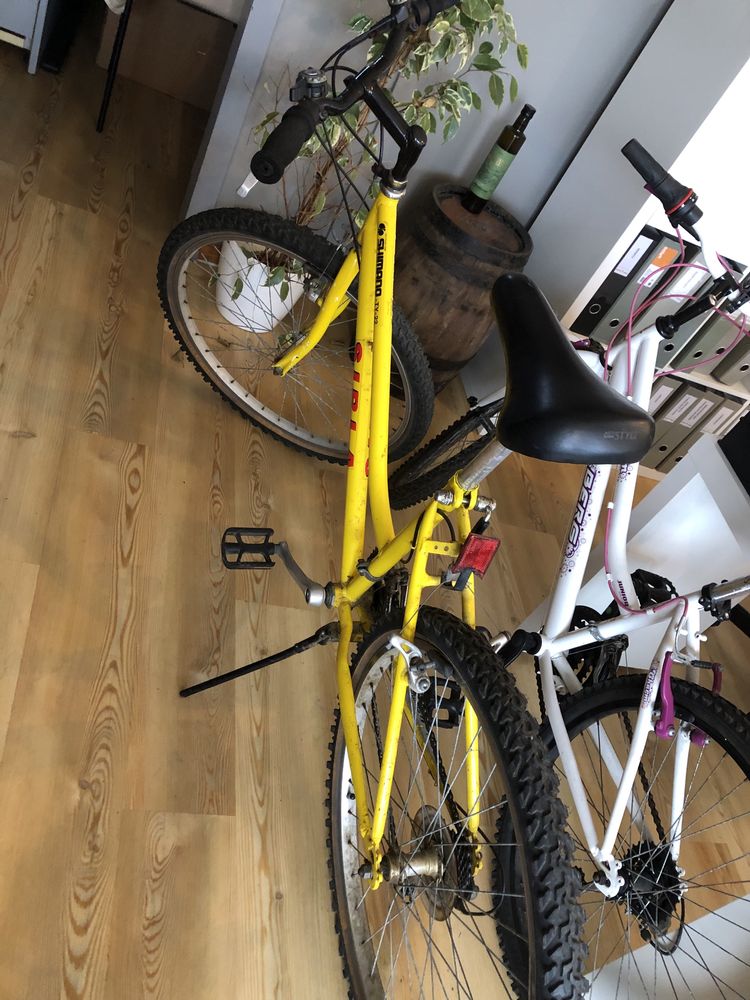 Bicicleta de senhora
