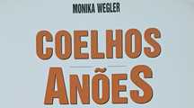 Coelhos Anões Livro Novo