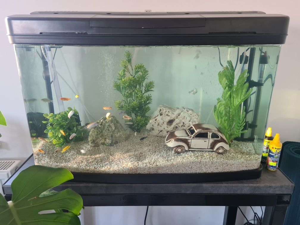 Akwarium 180l z wyposażeniem+półka