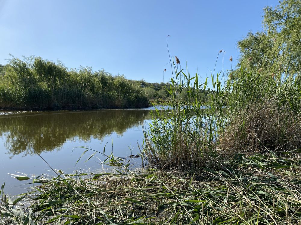 Свой берег. Своя река Новоалександровка Братское, с.Каменка р. Сура