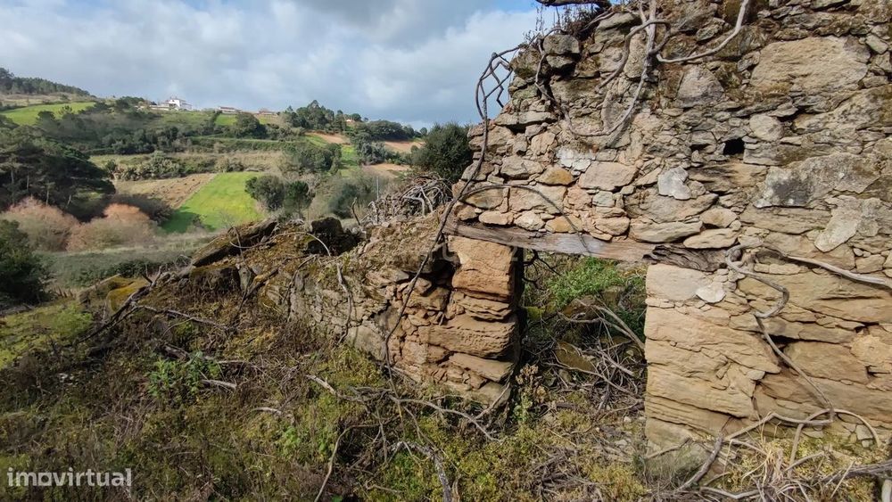 Terreno com ruina inserido no meio da Natureza