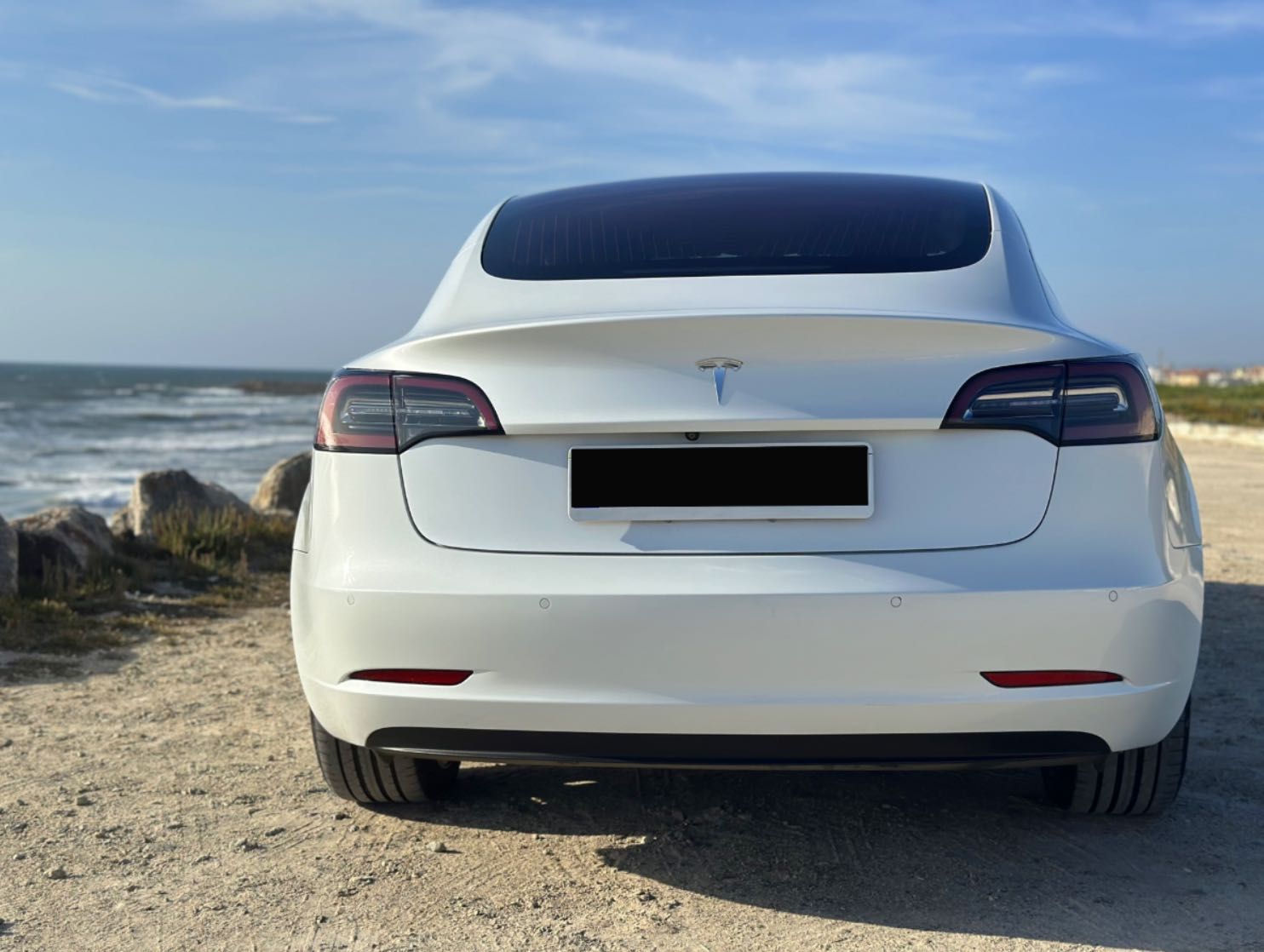 Tesla Model 3  65kW  RWD.  Customizado, digno de destaque!