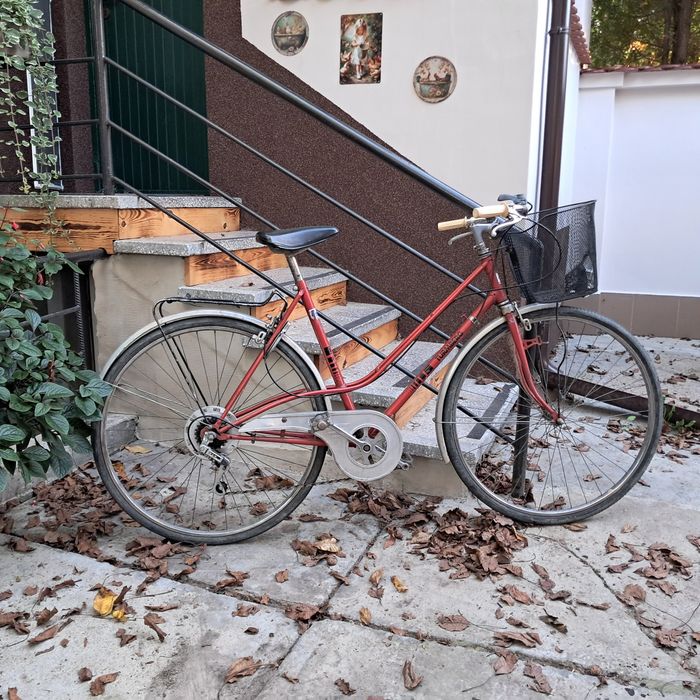 Turmberg damka z koszykiem