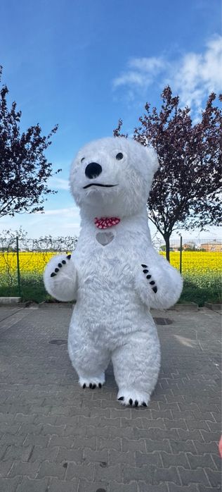 Bialy Miś i Panda wynajem  na urodziny komunie chrzciny zabawy festyn