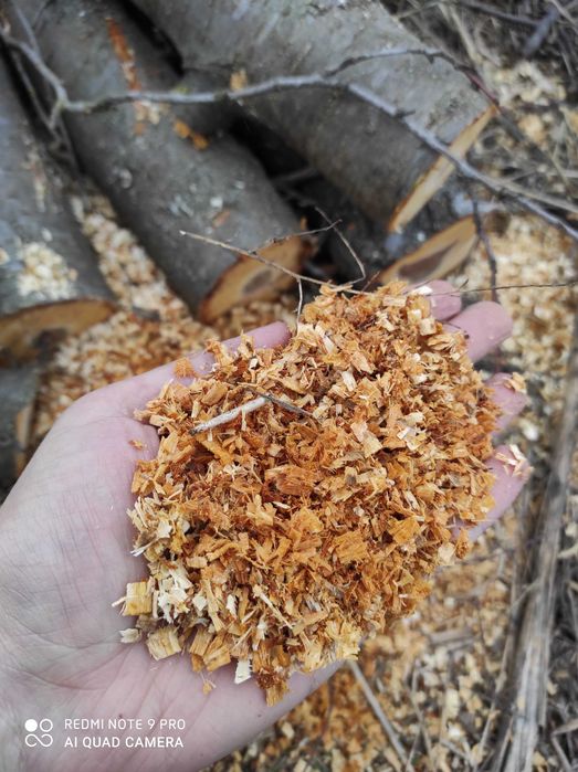 Акамуляторна пила щоточна  18 вольт комплект на фото .