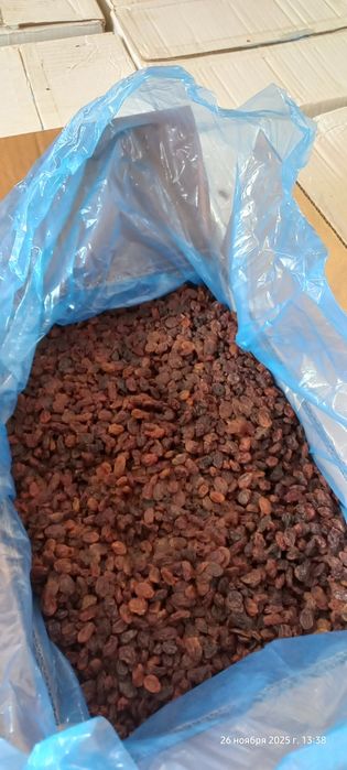 родзинки кишміш Туреччина 2024 рік.  дуже смачний.