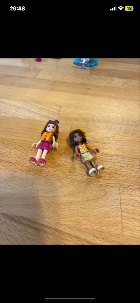 zestaw lego friends 41121