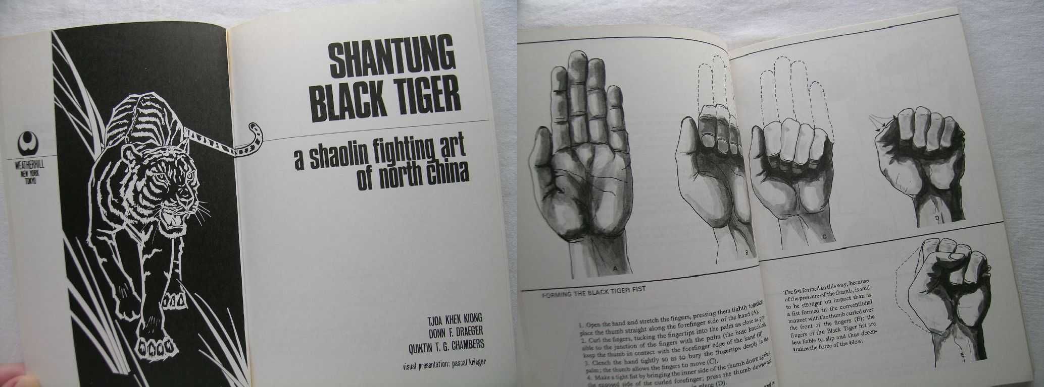 Styl Czarnego Tygrysa Kung Fu - Shantung Black Tiger