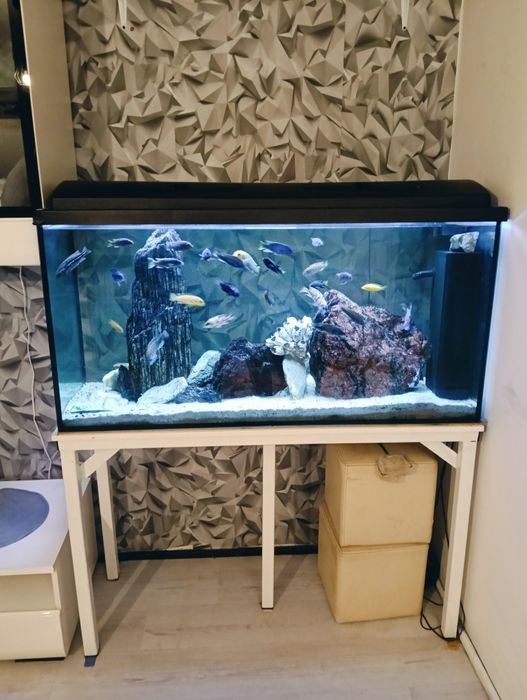 Akwarium+ ryby+ stojak