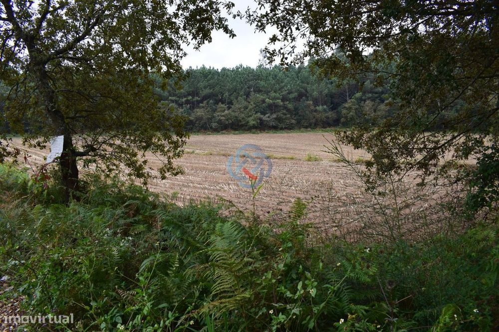 Terreno Urbano Com Pip Aprovado Para Construção De 3 Edifícios Em A