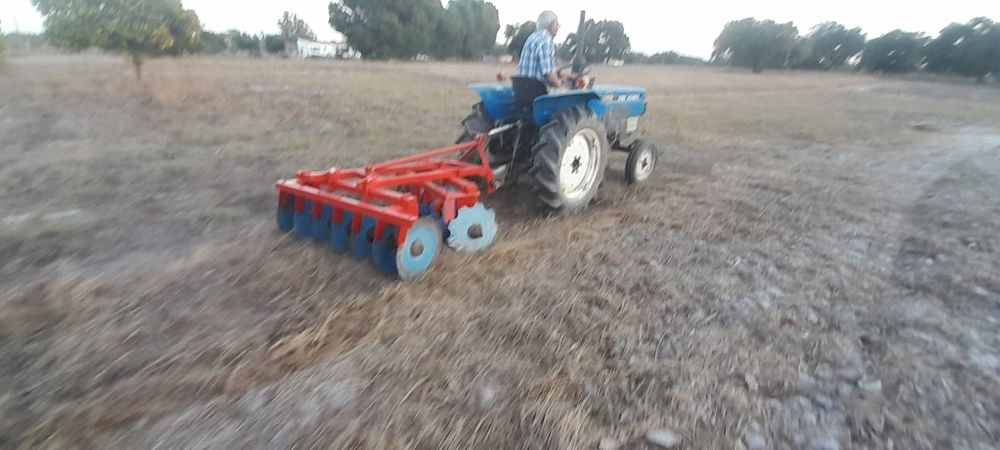 Grade 14 discos impecável