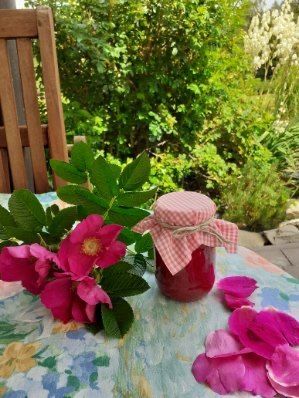 Róża do pączków.