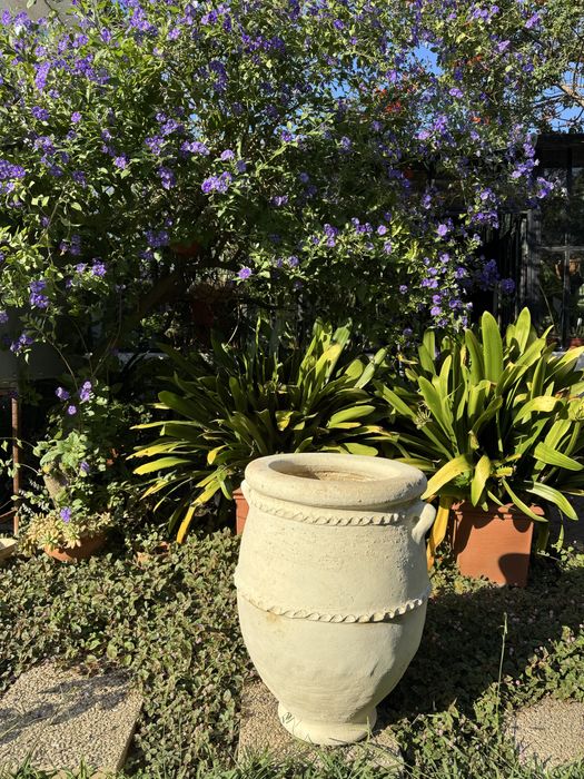 Jarrao ceramica Marroquina