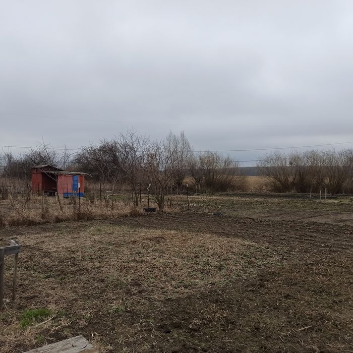 Дача, ділянка 18 соток+сад Олдиш