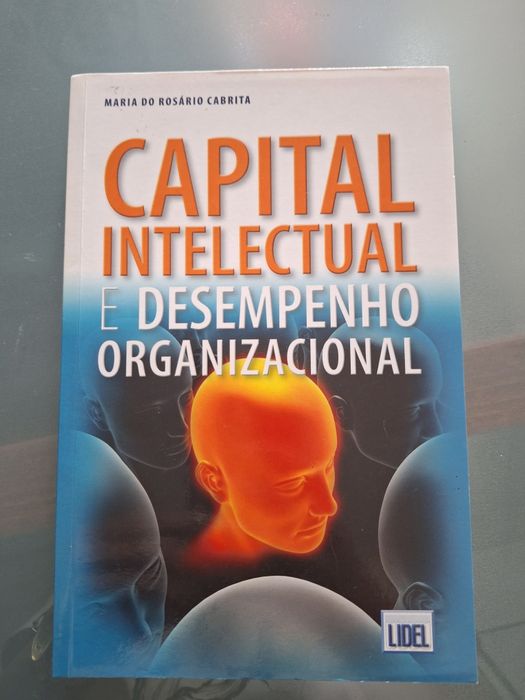 Livro Capital  Intelectual  e o Desempenho  Organizacional