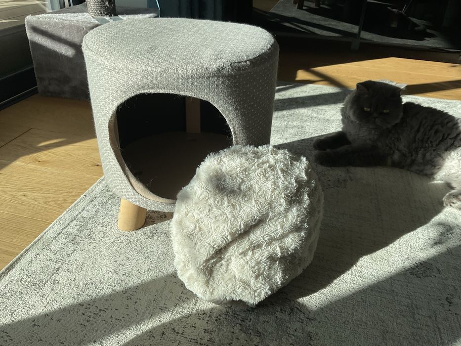 Casinha para gatos - elevado e robusto