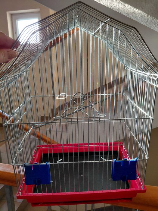 Клідка для папужки