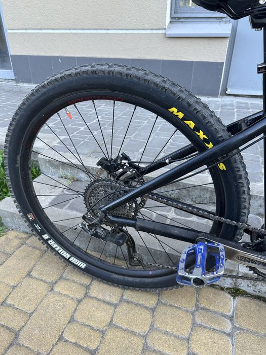 DARTMOOR sparrow intro 2021