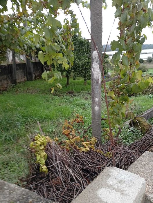 Terreno para construção