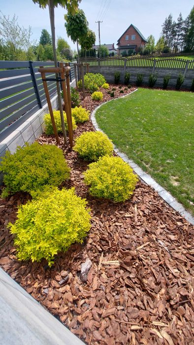 Kora sosnowa ogrodowa LUZEM transport Wywrotką do 10m3