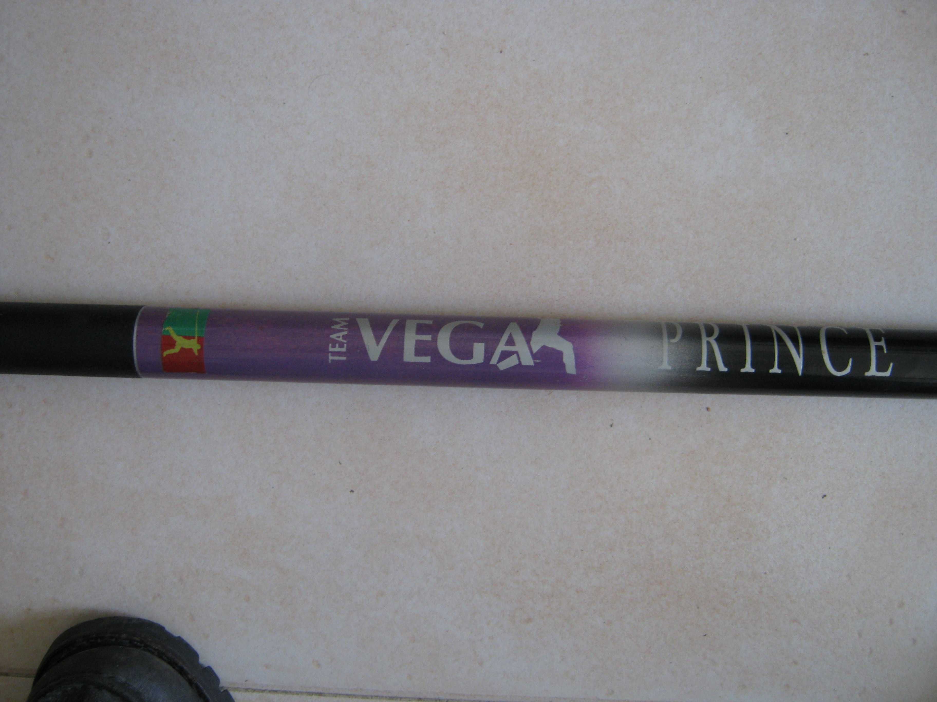 Cana de pesca Vega Prince