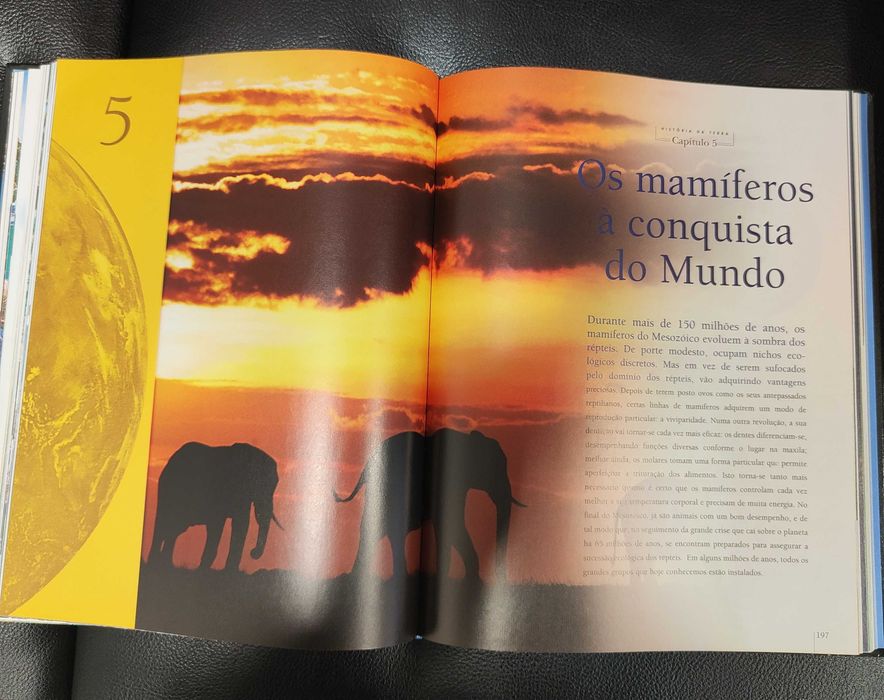 A Fabulosa História da Terra