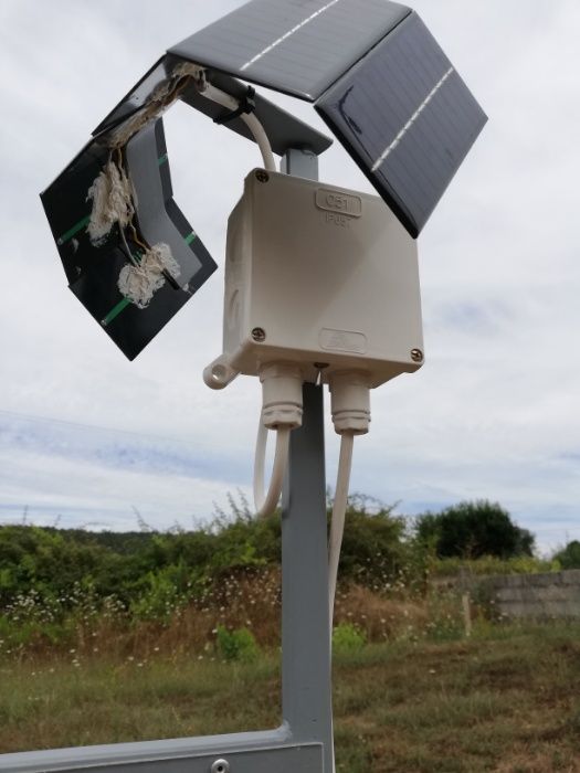 Placa harpa mata vespas velutina asiática apiário