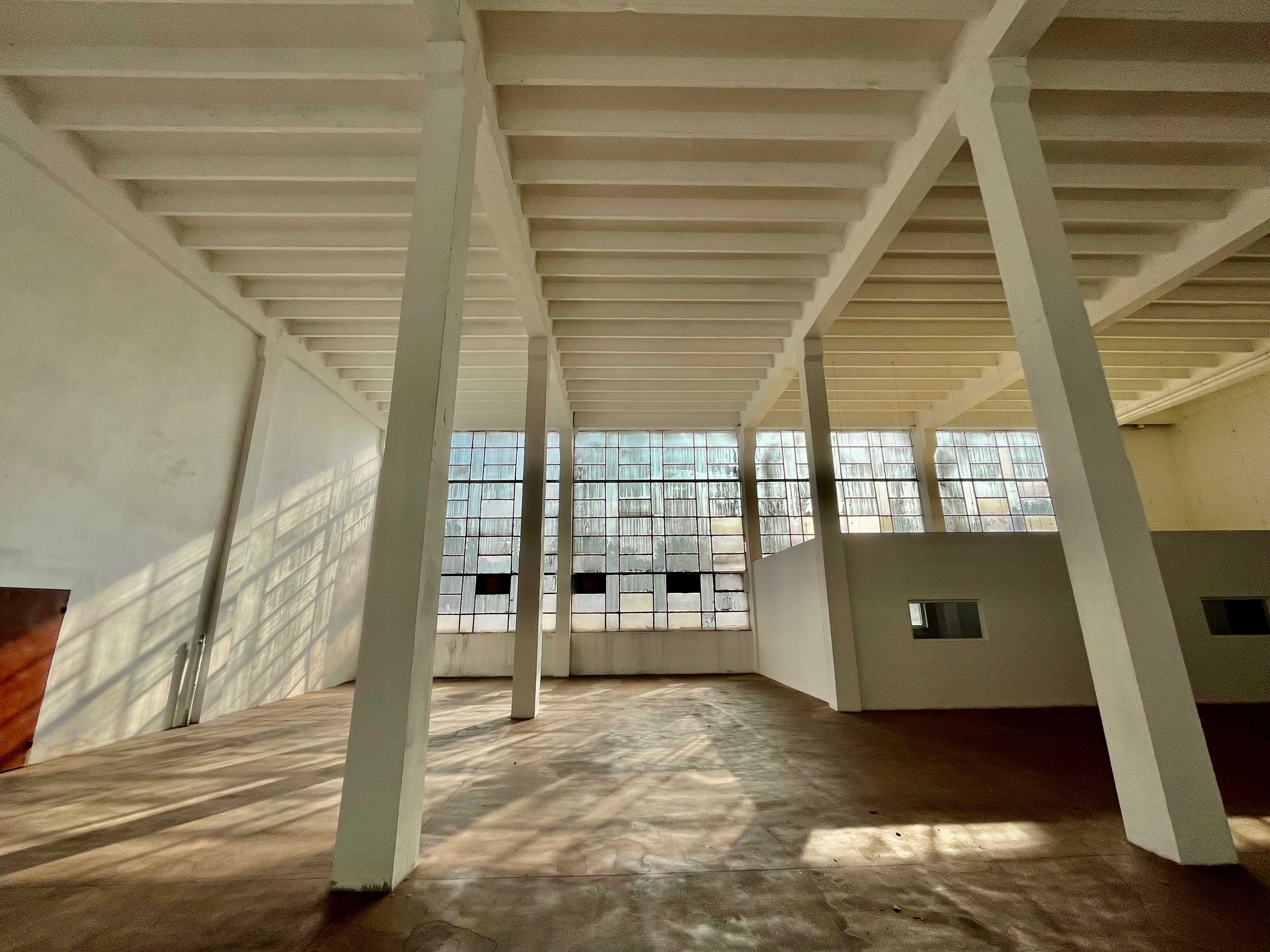 550 m2 - hala Teofilów - wynajmę