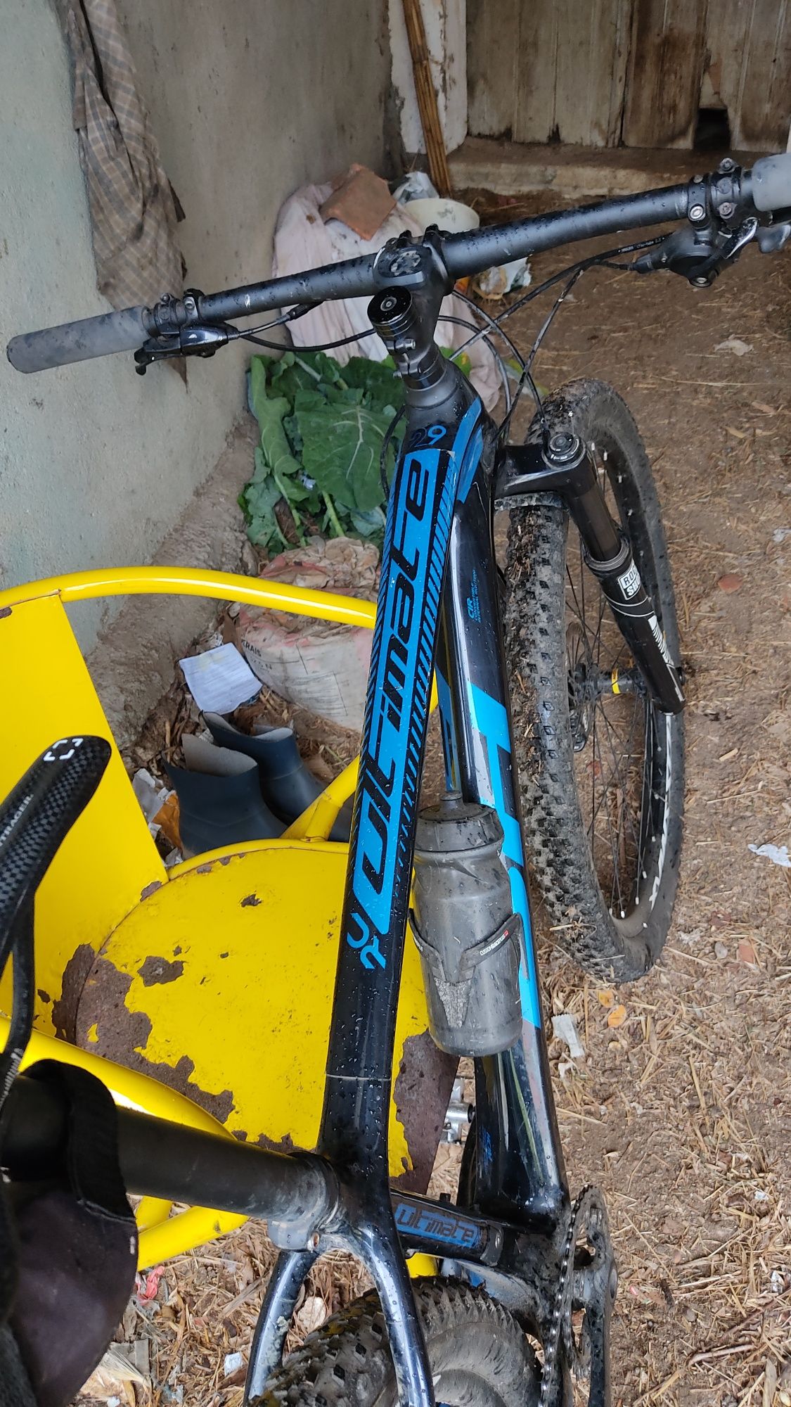 BH Ultimate RC Carbono 29