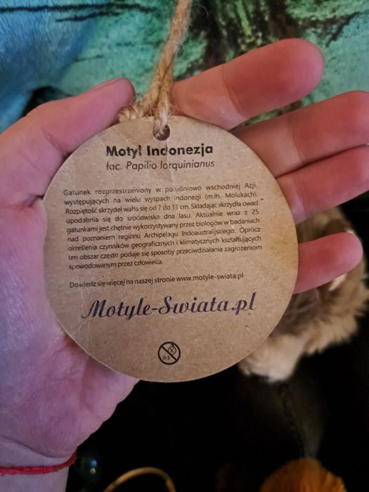 9 maskotek pluszowych prezent dziecko od Mikołaja