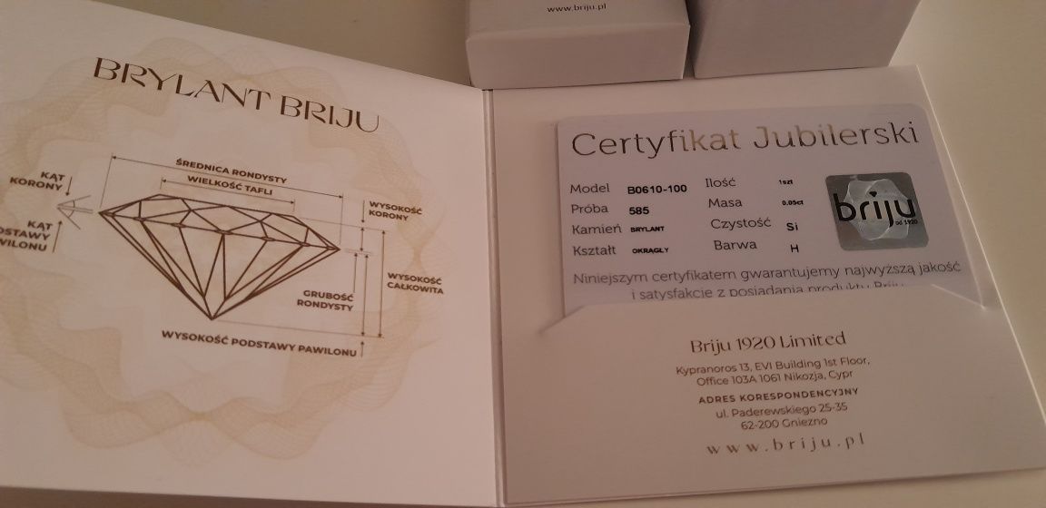 Briju Pierścionek zaręczynowy kolekcja Amazing złoty z brylantem 0,05