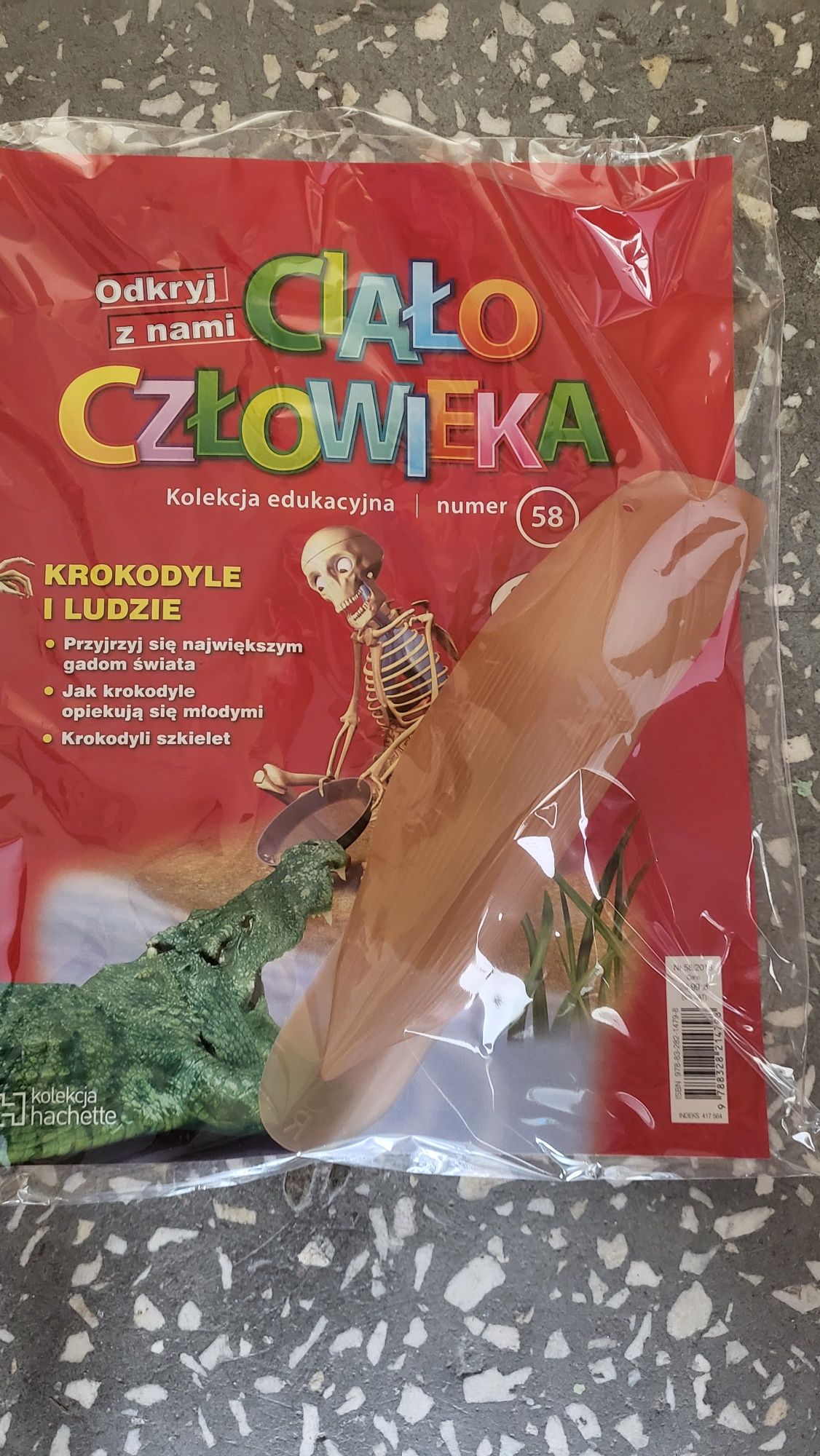Kolekcja  odkryj z nami ciało człowieka