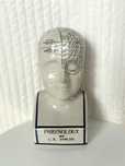 Duża Głowa Popiersie L.N. Fowler Phrenology