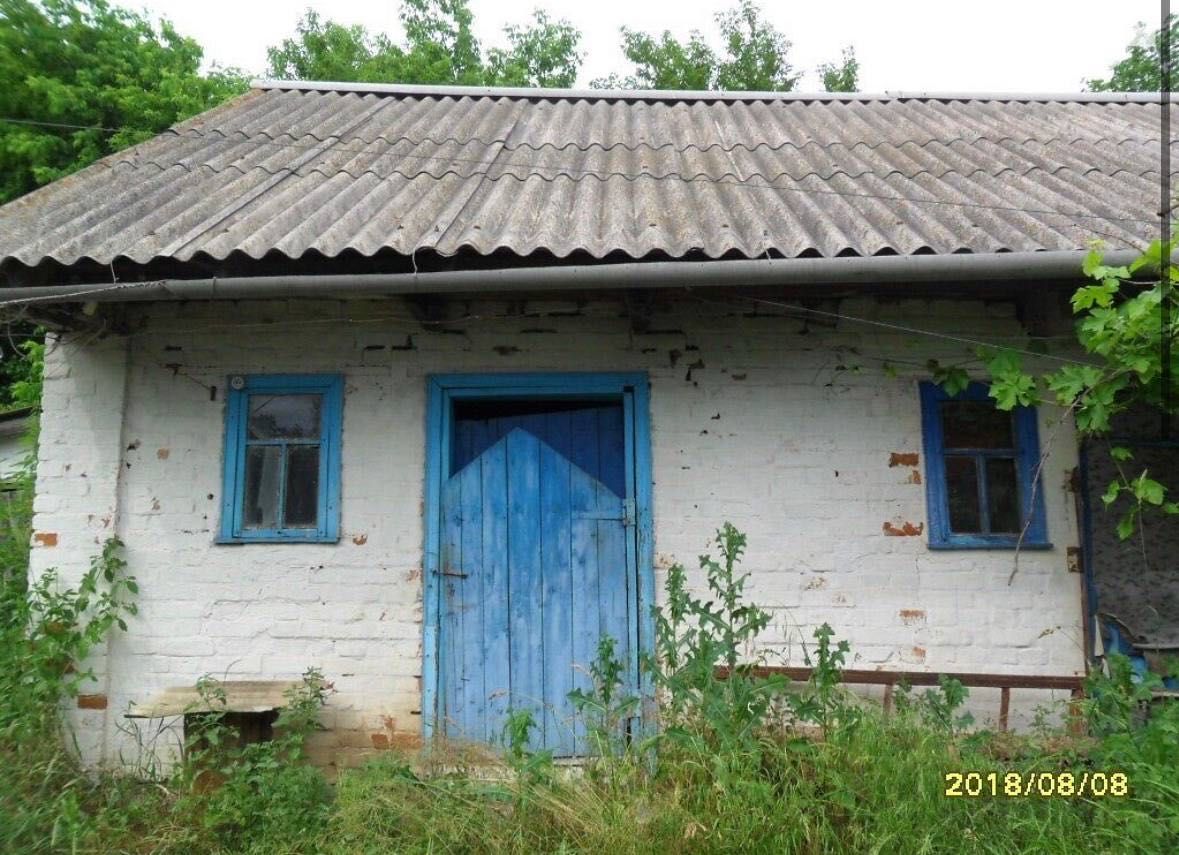 Будинок на 128 сотках в мальовничому селі