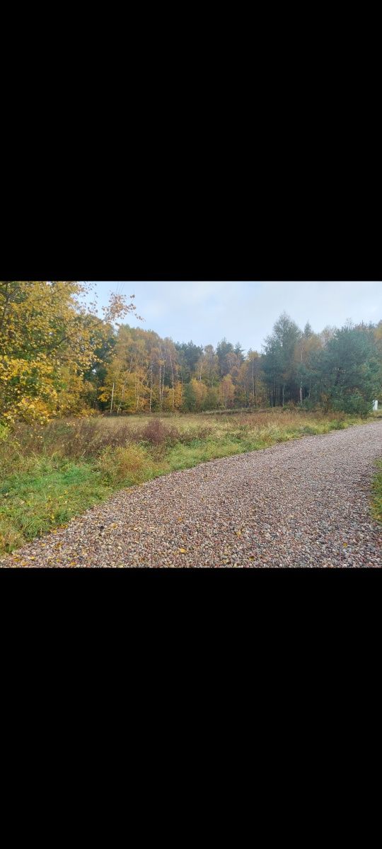 Działka Leśniewo 1551m², wydane warunki zabudowy, prąd