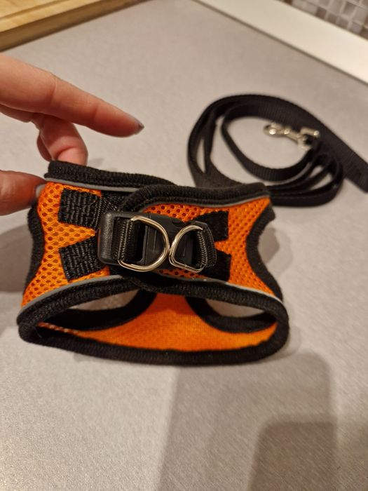Nowe pomarańczowo-czarne - Szelki, uprząż, smycz dla kota, psa, roz. S