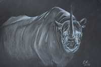 Rinoceronte por emoldurar