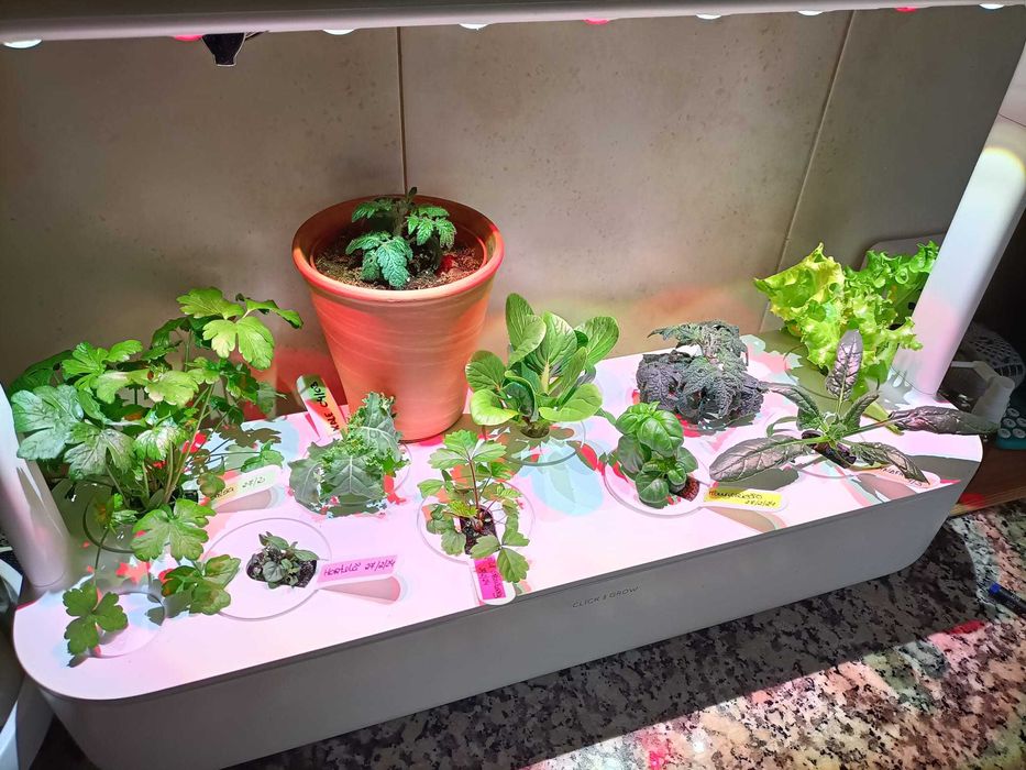 Jardim/Vaso inteligente Click & Grow - The Smart Garden 9