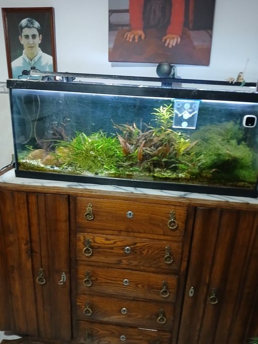 Aquario completo