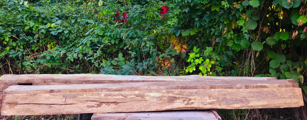 Хвоя та дуб , амбарні бруси масив віком понад 50 років