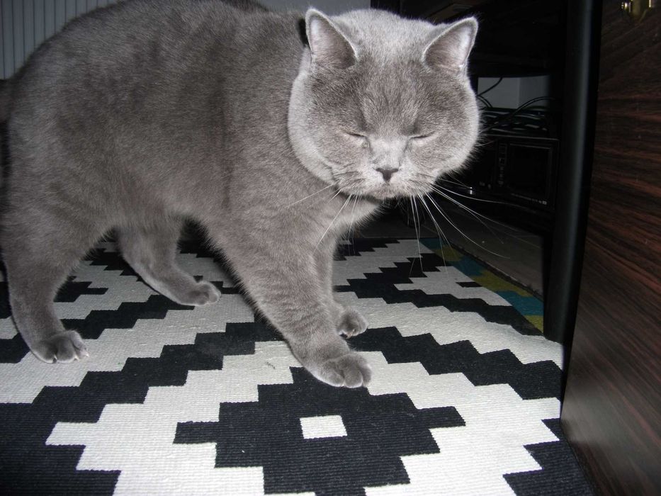 Fujifilm AX200 + pudełko zestaw/ retro digital camera