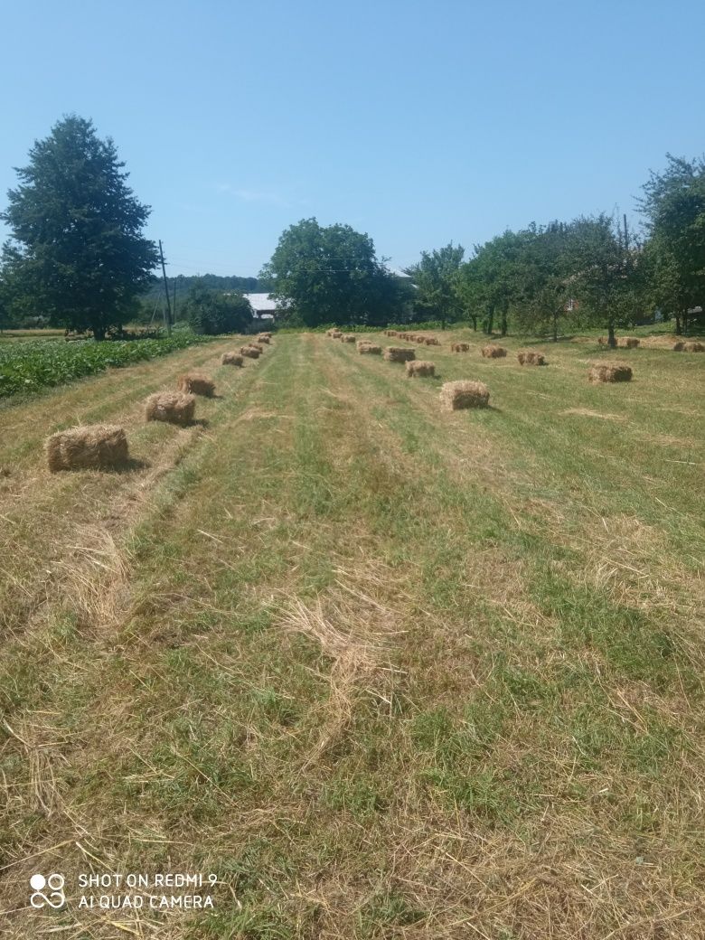 Продам сіно в тюках