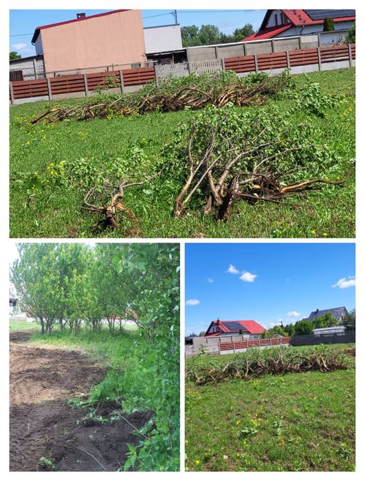 Karczowanie i czyszczenie działek i terenów