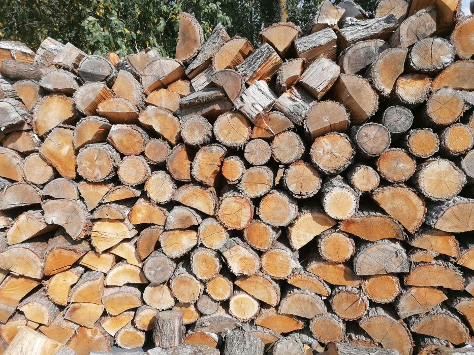 Drewno drzewo liściaste drewno