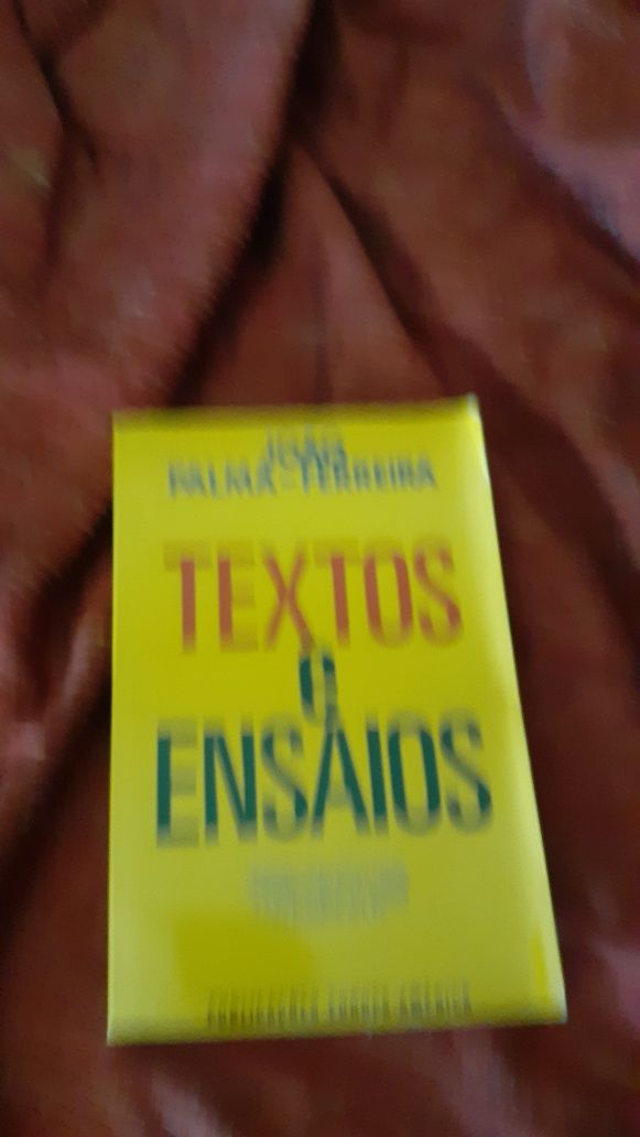 João Palma Ferreira livro Textos e  Ensaios